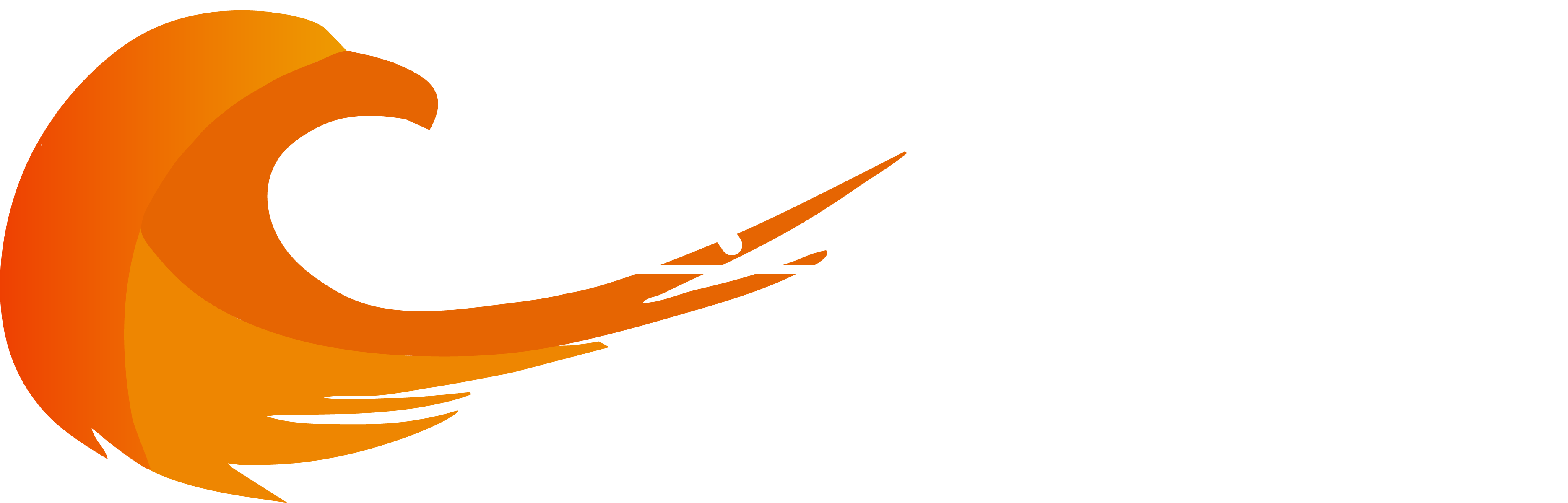 FENIX: Digital Solutions